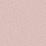 ROSE PASTEL